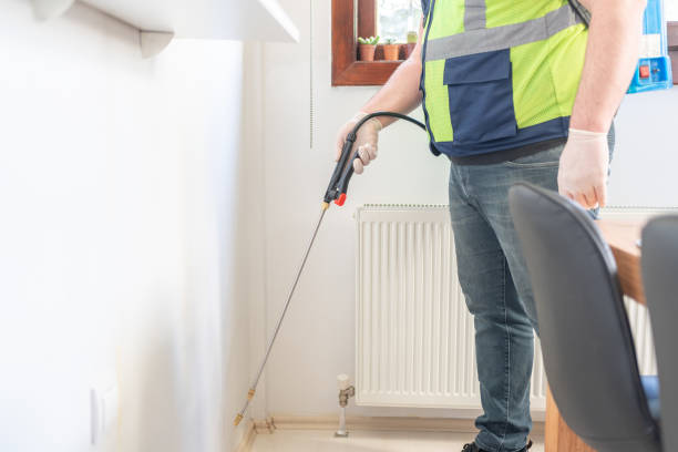 Best Pest Removal Services  in Center Point, NM