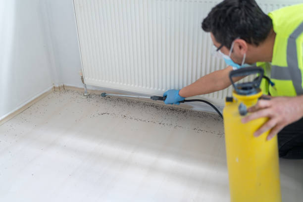 Best Affordable Pest Control Services  in Center Point, NM
