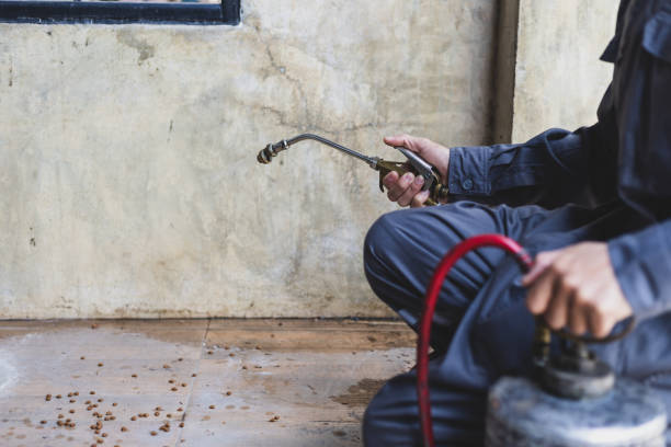 Best Affordable Pest Control Services  in Center Point, NM